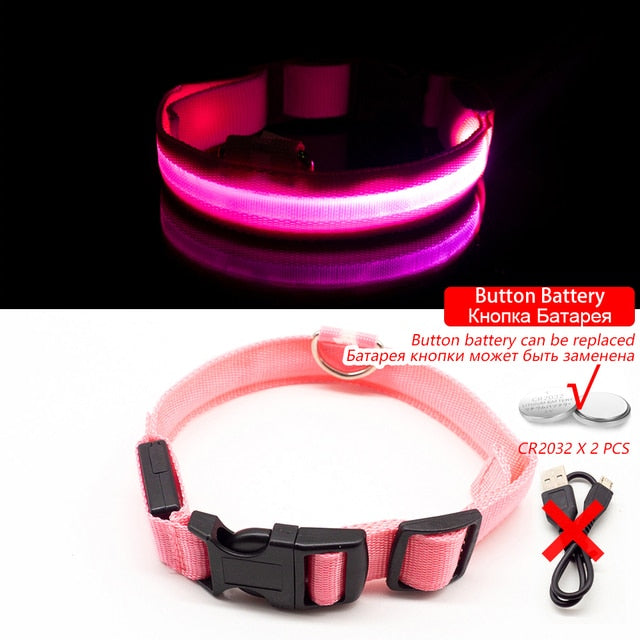 USB Charging  Led Dog Collar