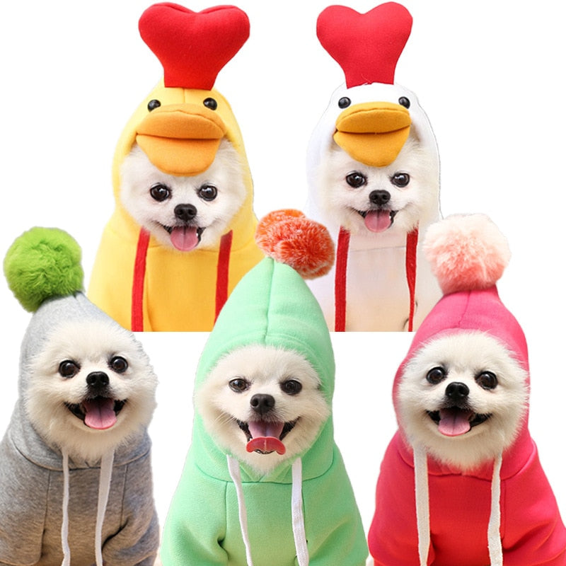 Cute Fruit Dog Clothes