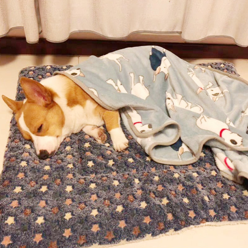 Washable Dog Bed