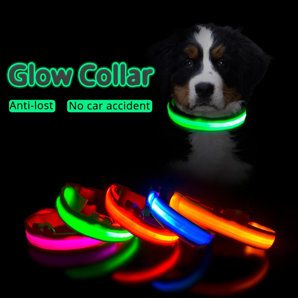 USB Charging  Led Dog Collar