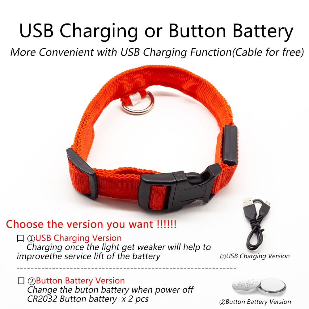 USB Charging  Led Dog Collar