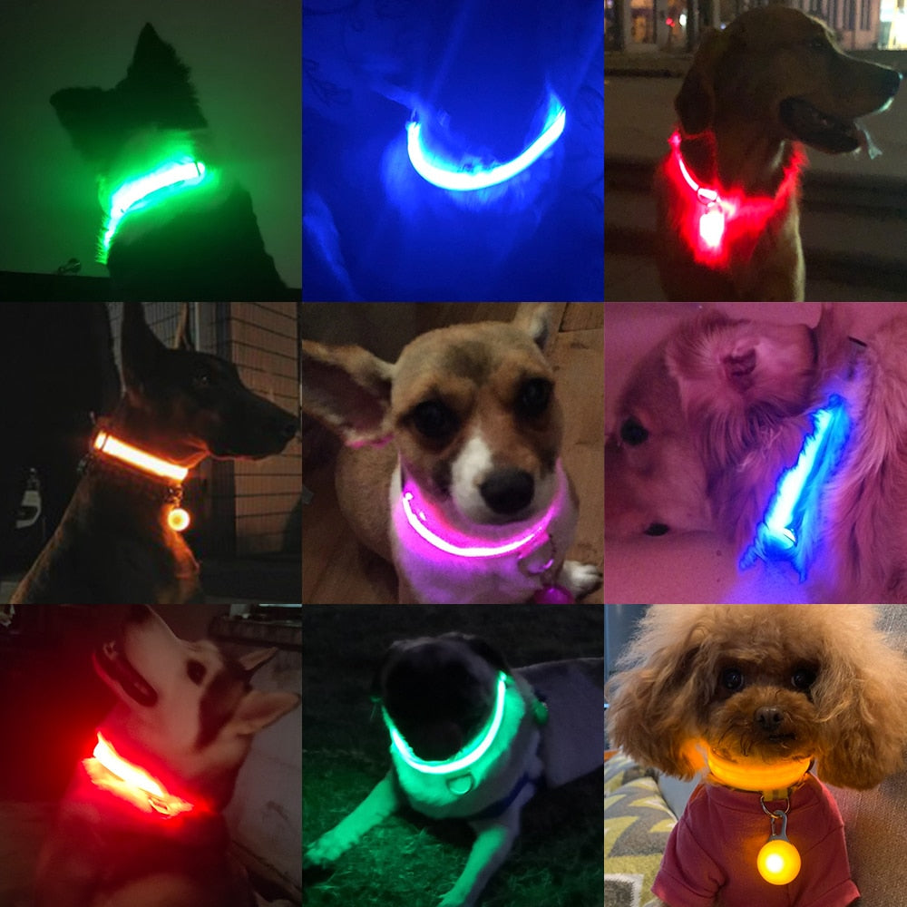 USB Charging  Led Dog Collar