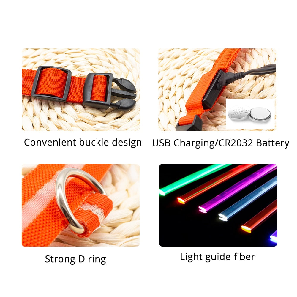 USB Charging  Led Dog Collar